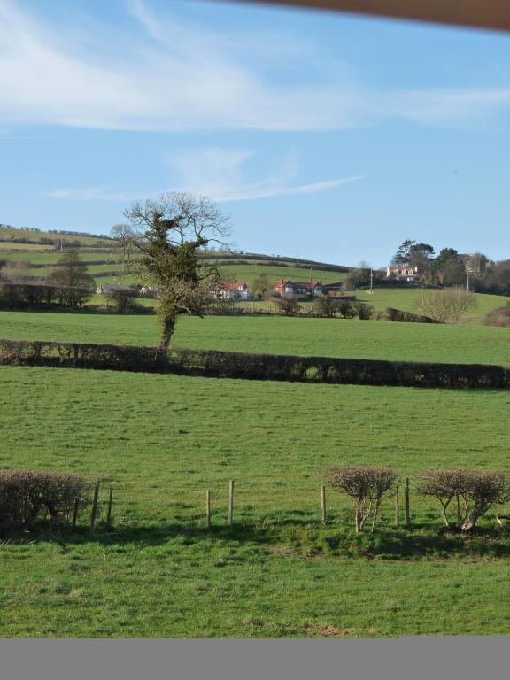 Saxon * Robin Hood's Bay