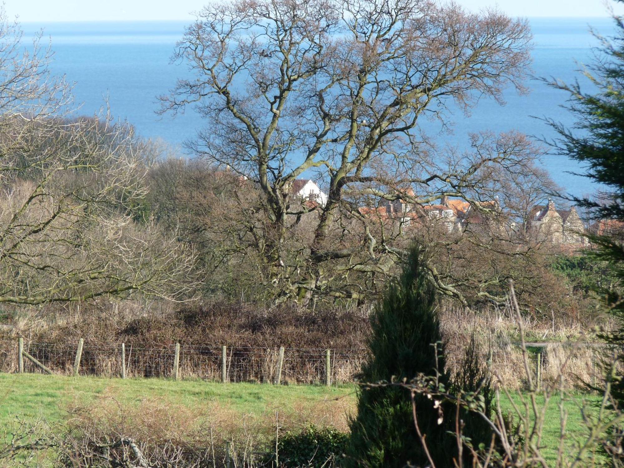 Saxon Country house Robin Hood's Bay