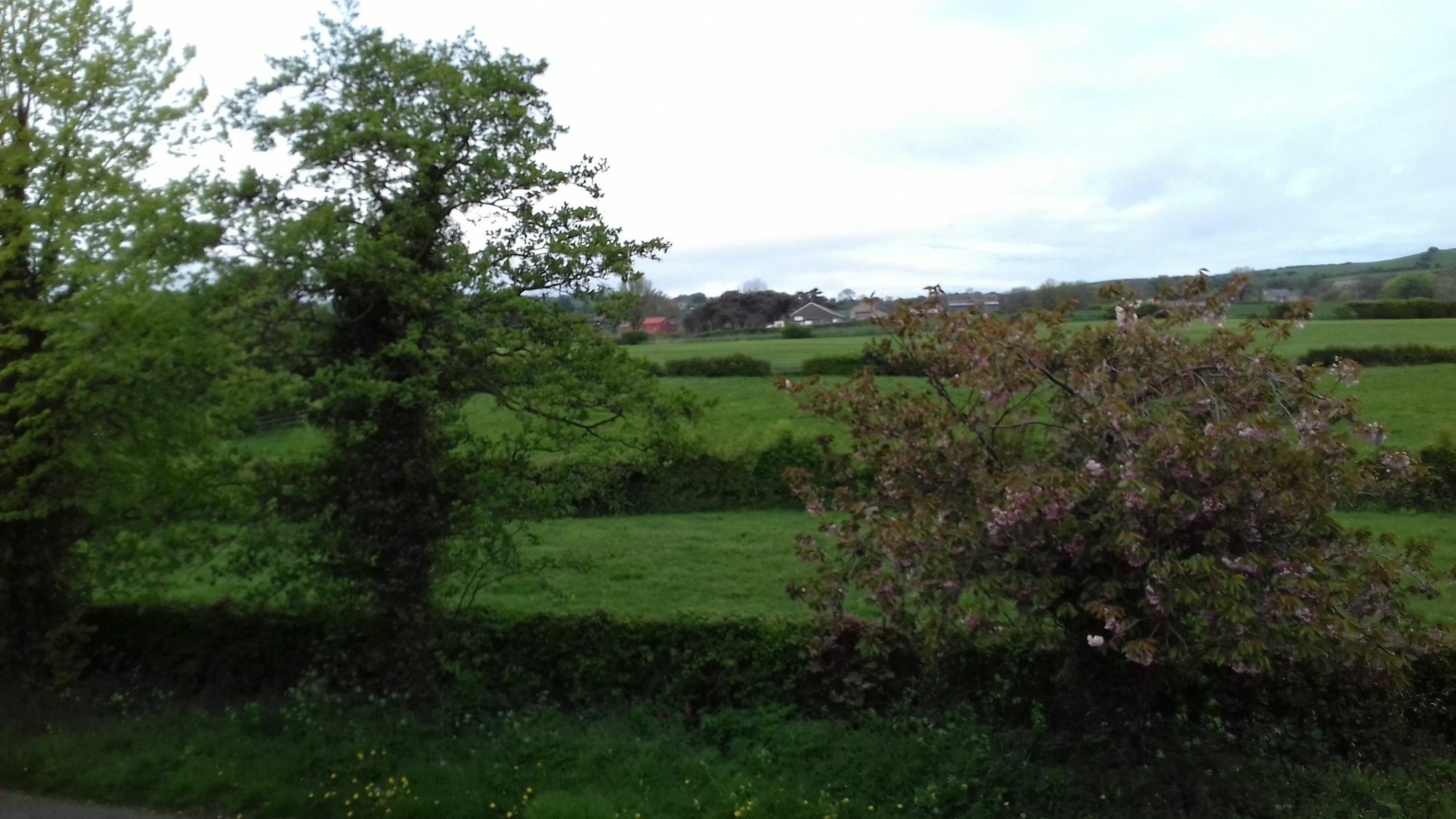 Country house Saxon