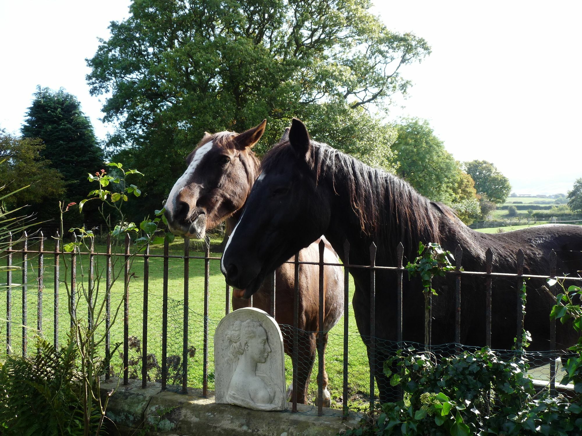 Country house Saxon *